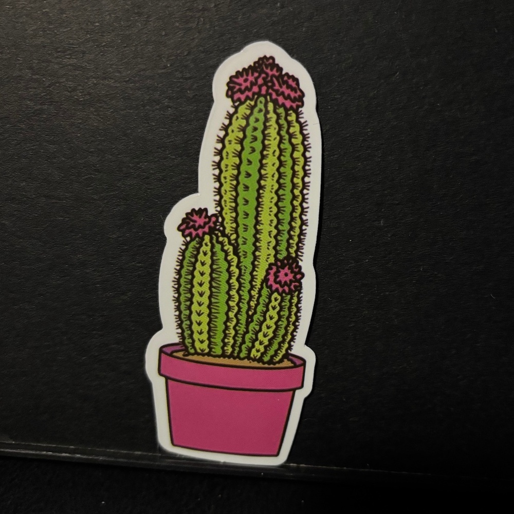 CATCUS STICKER